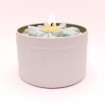 Bougie Marguerite - Parfum Vanille