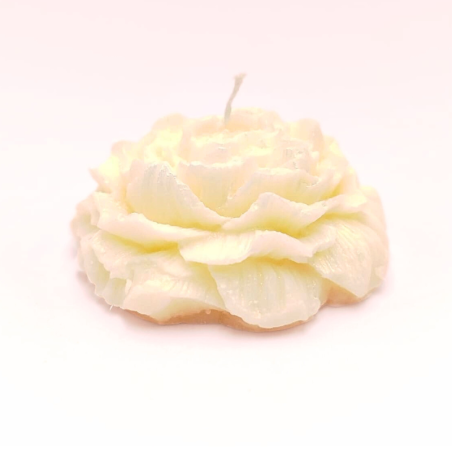 Bougie Rose nacrée - Fleur de cerisier