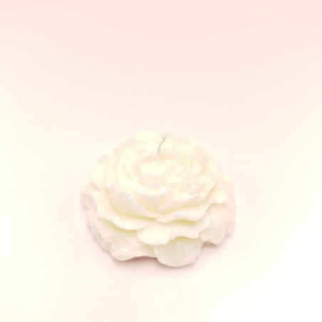 Bougie Rose nacrée - Fleur de coton
