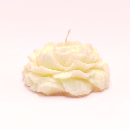 Bougie Rose nacrée - Fleur de coton