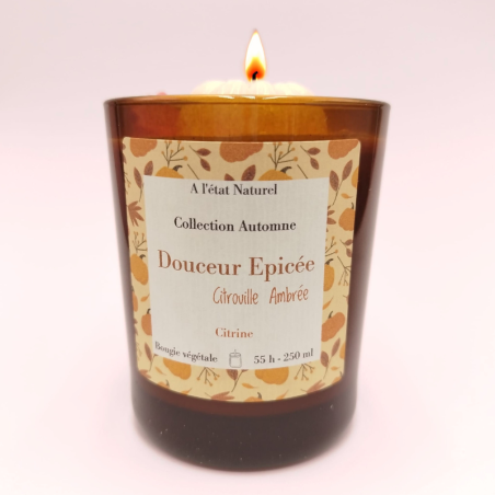 Bougie Douceur Épicée - Parfum Citrouille Ambrée