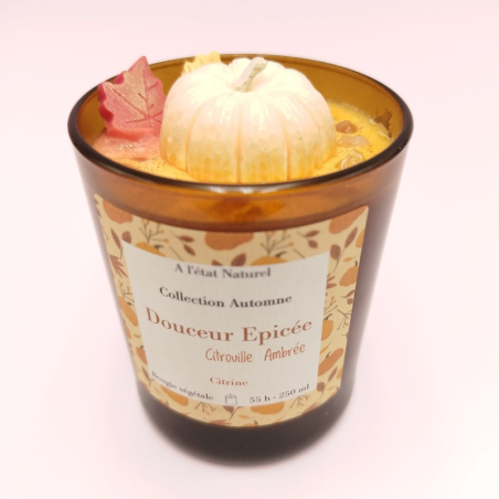 Bougie Douceur Épicée - Parfum Citrouille Ambrée