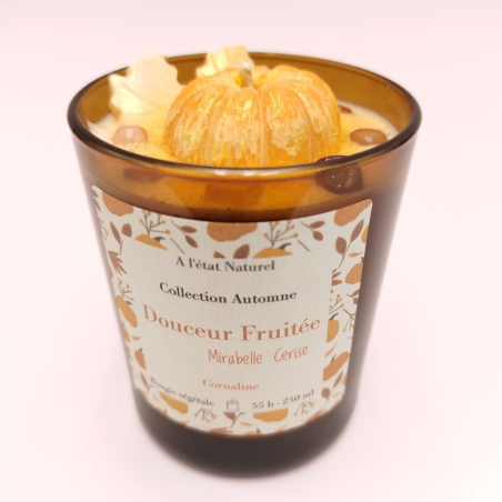 Bougie Douceur Fruitée - Parfum Mirabelle Cerise