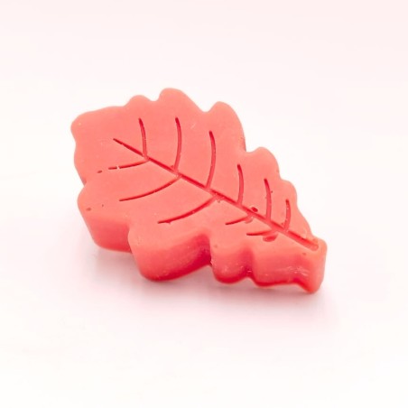 Fondants en forme de Feuilles (65g) - Parfum au choix (à l'unité)